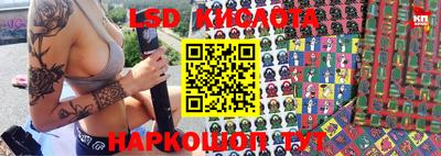 крисы Моздок