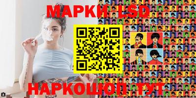 крисы Моздок