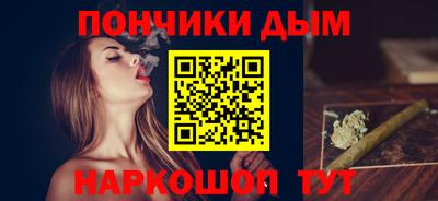 крисы Моздок