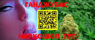 крисы Моздок