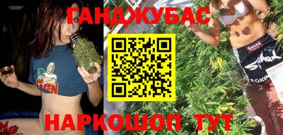 крисы Моздок