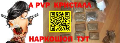 крисы Моздок