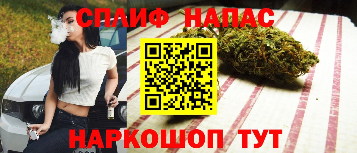 Бошки марихуана Amnesia Сыктывкар